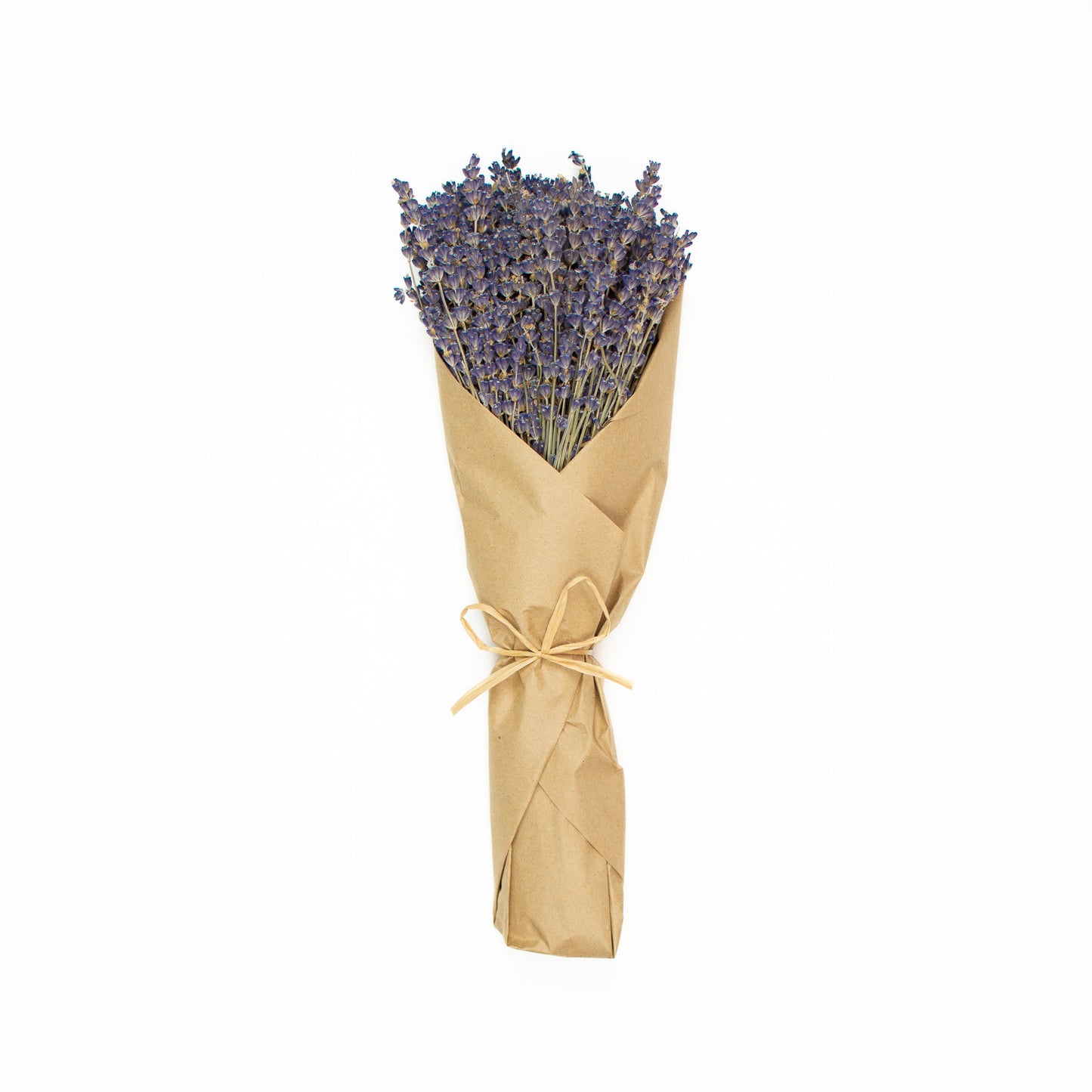 Lavender Bundle