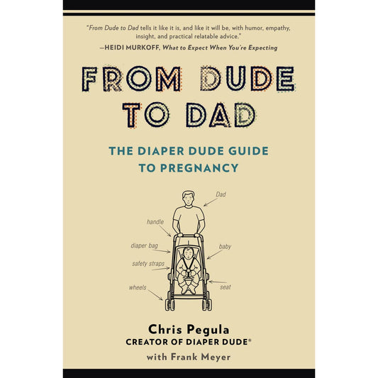 From Dude to Dad Book